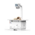 Veterinary Medical Equipment Vet Digital Radiography  X-ray Machine Price